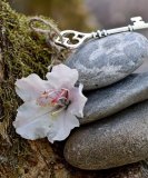Josy - Skatkarten - Tarot & Kartenlegen - Spirituelles Heilen - Reiki - Kipperkarten Josy - Skatkarten - Tarot & Kartenlegen - Spirituelles Heilen - Reiki - Kipperkarten