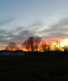 Eleonora - Eleonora -